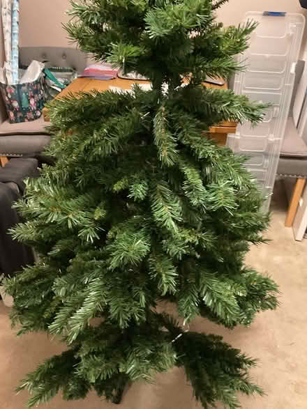 Photo of free Christmas tree (BD19 Cleckheaton) #2
