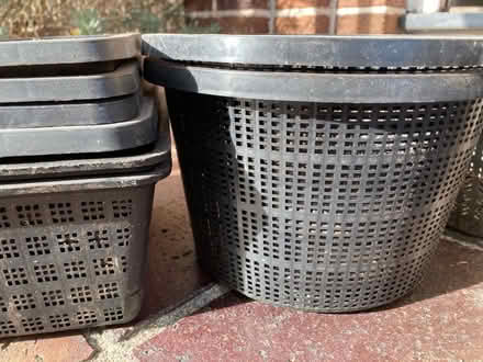 Photo of free Pond plant pots (Westbury on Trym BS9) #4