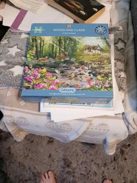 Photo of free 1.000 piece puzzle (Maidenhead SL6) #1