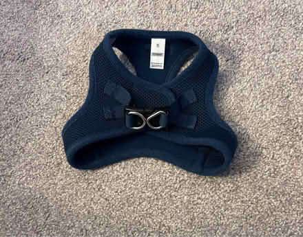 Photo of free Pet harnesses and slow feeder (Wilmington) #2