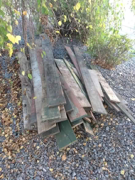 Photo of free Planks - a pile of thin ones (Gilmerton) #1