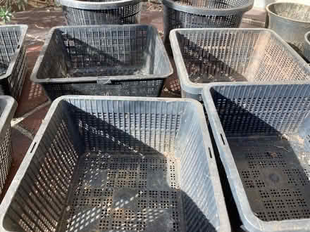 Photo of free Pond plant pots (Westbury on Trym BS9) #2