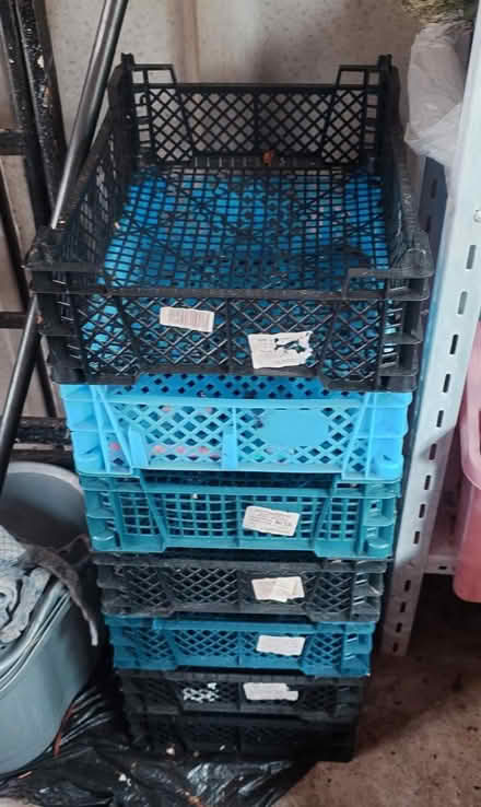Photo of free 7 small plastic crates (Stockport SK2) #1