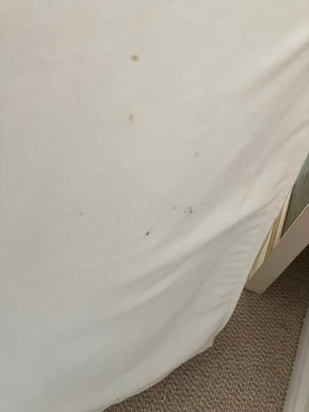Photo of free Off white ikea bucket chair with cushions. (Southmoor OX13) #3
