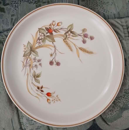 Photo of free Dinner plates (Cosham PO6) #1