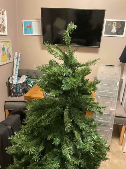 Photo of free Christmas tree (BD19 Cleckheaton) #1