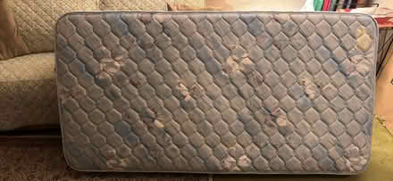 Photo of free Twin Craftmatic adjustable bed (Norwood) #2