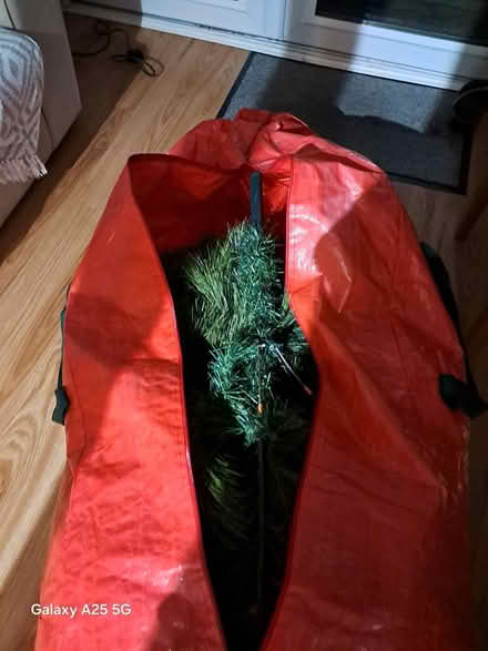 Photo of free Christmas Tree (Cheadleheath sk3 Ose) #1