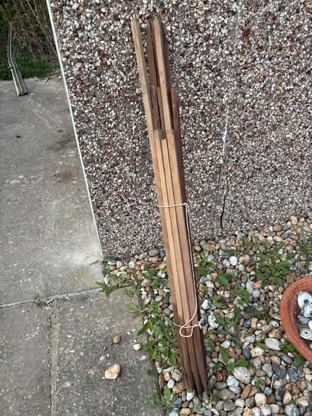 Photo of free Garden stakes (Bexhill TN39) #1