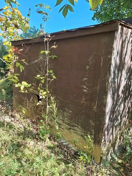 Photo of free Painted plywood (pickup 25th-27th) (Ann Arbor Northwest Side) #3