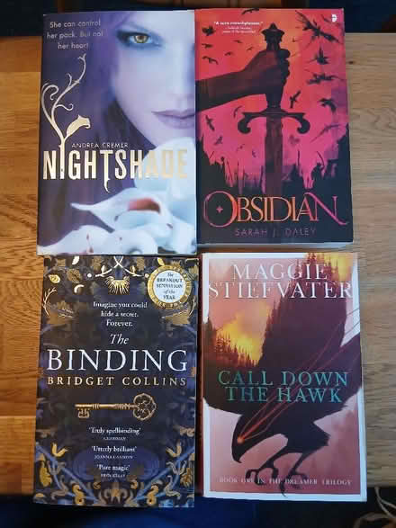 Photo of free Bundle of 4 Young Adult fiction (Bilton HG1) #1