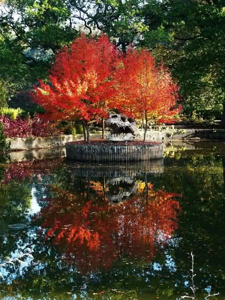 Photo of free One-off photo print - Autumn at RHS Wilsey (Oakington CB24) #1