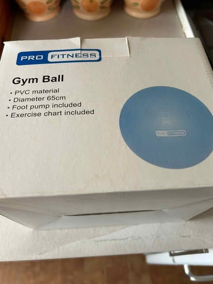 Photo of free Gym Ball (Old Town HP2) #1