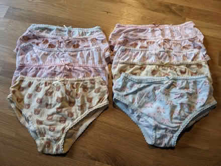 Photo of free Girls knickers age 5-6 (Staplehurst TN12) #1