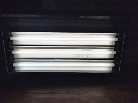 Photo of free S.A.D. Lamp (Park Street AL2) #4