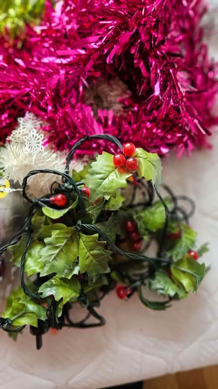 Photo of free Xmas decorations (Leckhampton GL53) #3