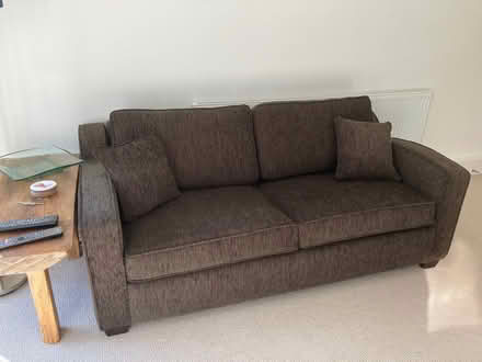 Photo of free Brown sofa bed (Southmoor OX13) #1
