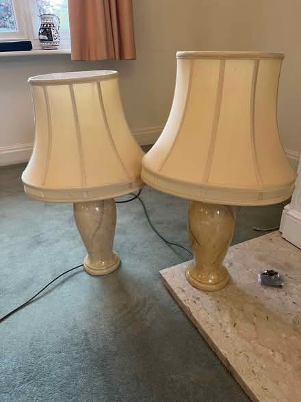Photo of free Two table lamps (Tenterden TN30) #1