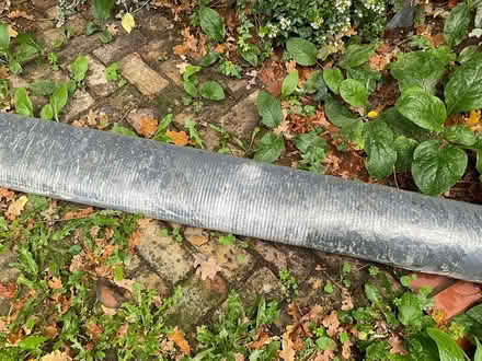 Photo of free Fake grass 4x3m (Balham SW12) #1