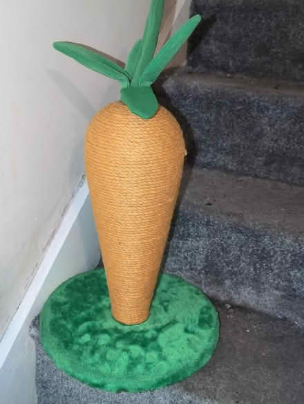 Photo of free Cat scratch post (Radford NG7) #1