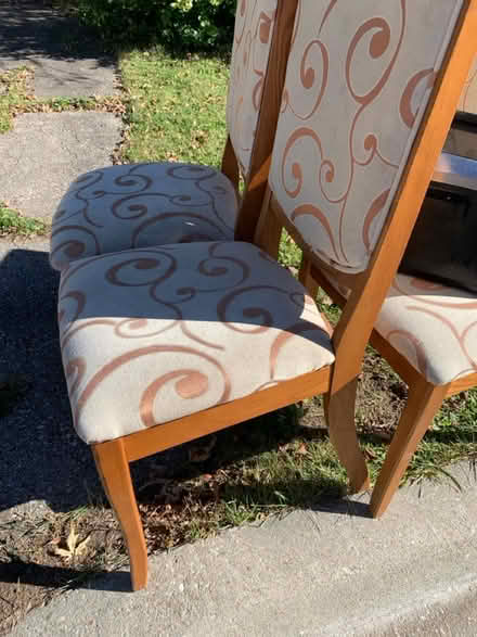 Photo of free 4 Free chairs (Bramalea/Queen) #1