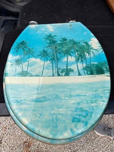 Photo of free Novelty toilet seat (St Albans AL3) #1