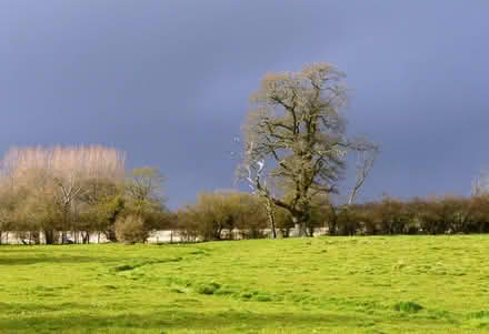 Photo of free One-off photo print - Wiltshire countryside (Oakington CB24) #1