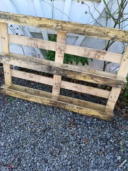 Photo of free Wood pallet (Barry) #1