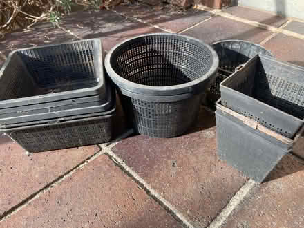 Photo of free Pond plant pots (Westbury on Trym BS9) #3