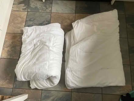 Photo of free 2 old warm duvets (Haywards Heath RH16) #1