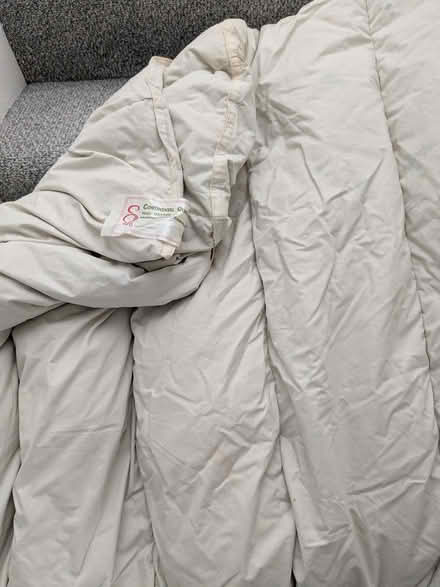 Photo of free Single Feather Duvet (Beulah Hill SE19) #1