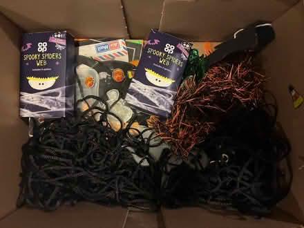 Photo of free Halloween decorations (Elan Village LD6) #1