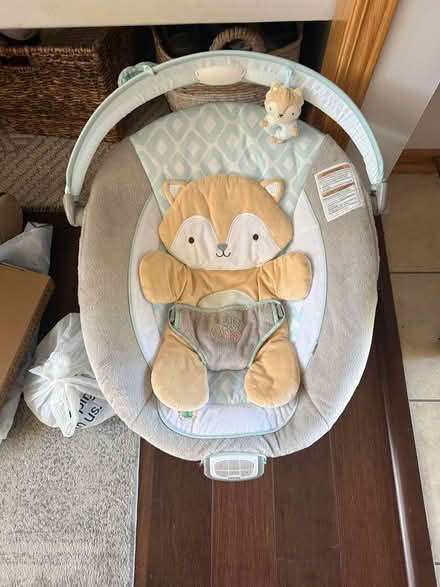 Photo of free Baby bouncer (Schererville) #1