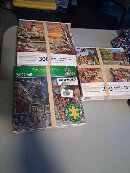 Photo of free Blankets, puzzles, etc (Snell and Santa Teresa) #4