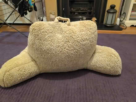 Photo of free Cushion / Backrest (Park Street AL2) #1