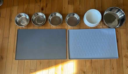 Photo of free 6 pet bowls and 2 mats (Evanston (Green Bay & Emerson)) #1