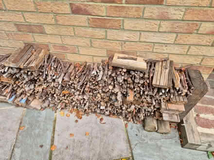 Photo of free Large Stack of Seasoned Firewood (Purley on Thames RG8) #3