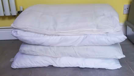 Photo of free Pillows for Animal Bedding (South Woodham Ferrers) #1