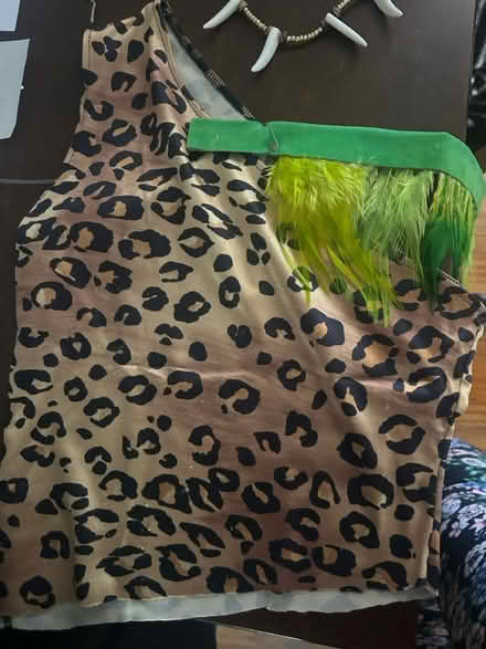 Photo of free Flinstones necklace and top (Alameda) #3