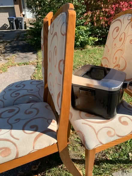 Photo of free 4 Free chairs (Bramalea/Queen) #3