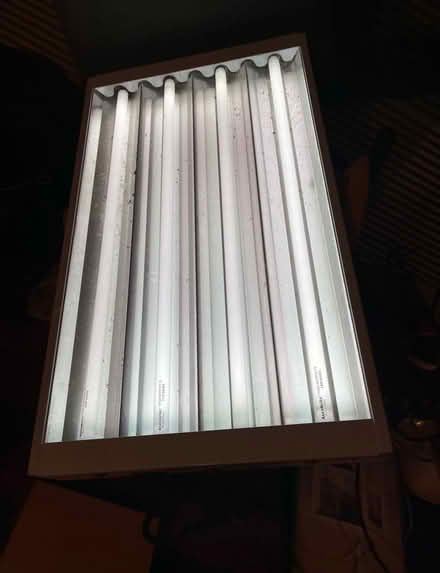 Photo of free 2 Envirogrow Fluorescent Plant Growing Lights (Ramsgate CT11) #2