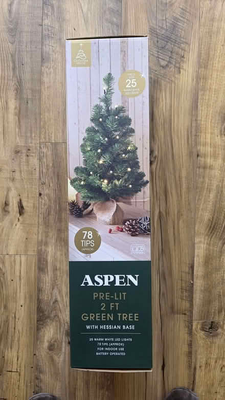 Photo of free Small pre-lit christmas tree (Bridge of Allan FK9) #1