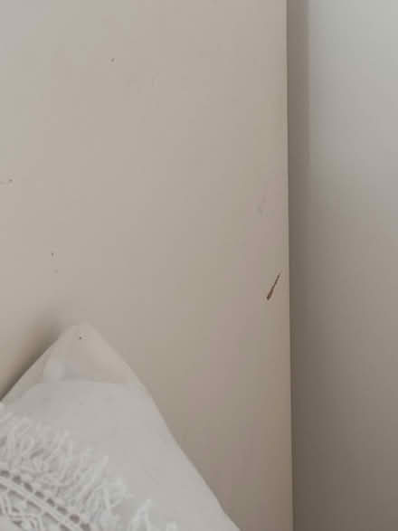 Photo of free Double ottoman bed frame (Rainham, RM138PZ) #4