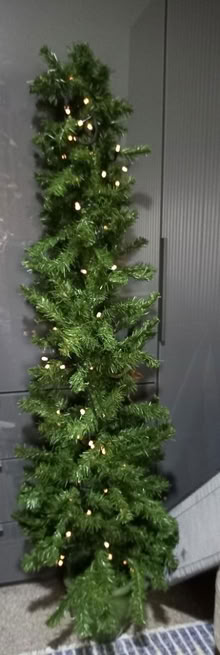 Photo of free 5ft pencil tree with lights (Didcot OX11) #1