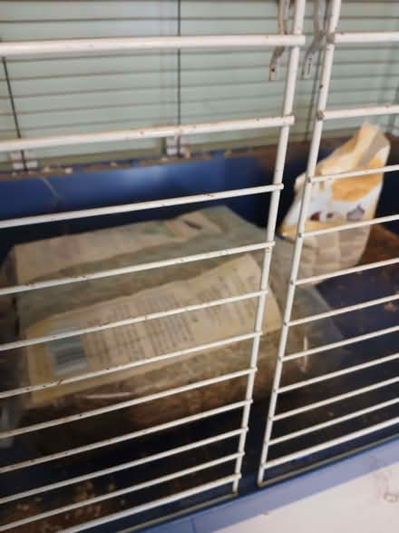 Photo of free Large Indoor Cage With Hay & Guinea Pig Food (Beaconhill NE23) #2