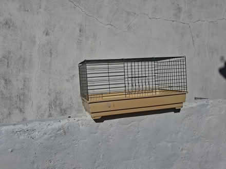 Photo of free Bird cage,suitable for breeding (Upton Torquay) #1