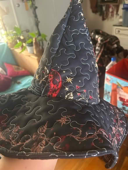 Photo of free Witch hat - new (Alameda) #3