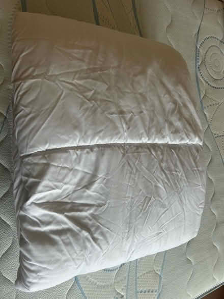 Photo of free Fogarty Hollowfibre Double Quilt (Western Park LE3) #3