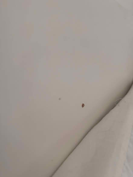 Photo of free Double ottoman bed frame (Rainham, RM138PZ) #3