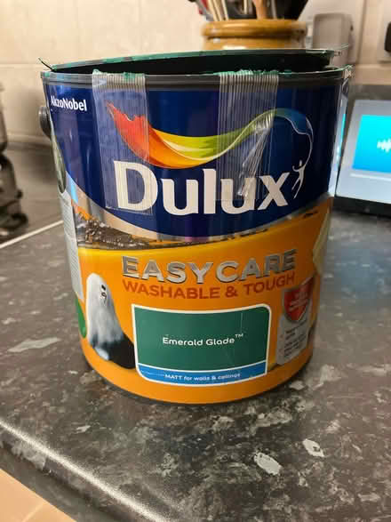 Photo of free Dulux emerald glade paint (Basingstoke) #1